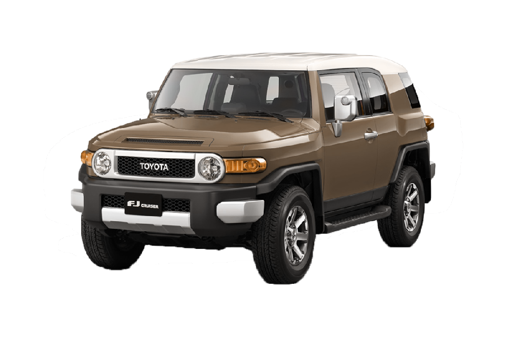 2020 Cruiser FJ